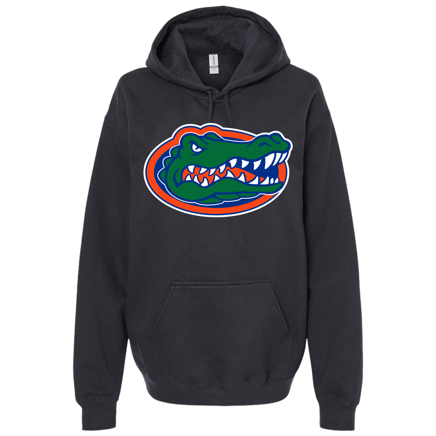 College Inspired Hoodie Gator