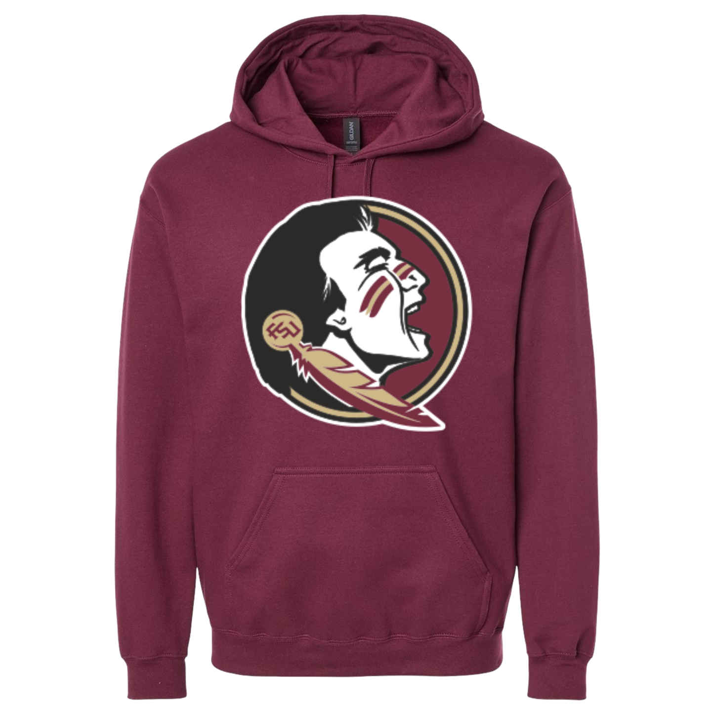 College Inspired Hoodie FSU