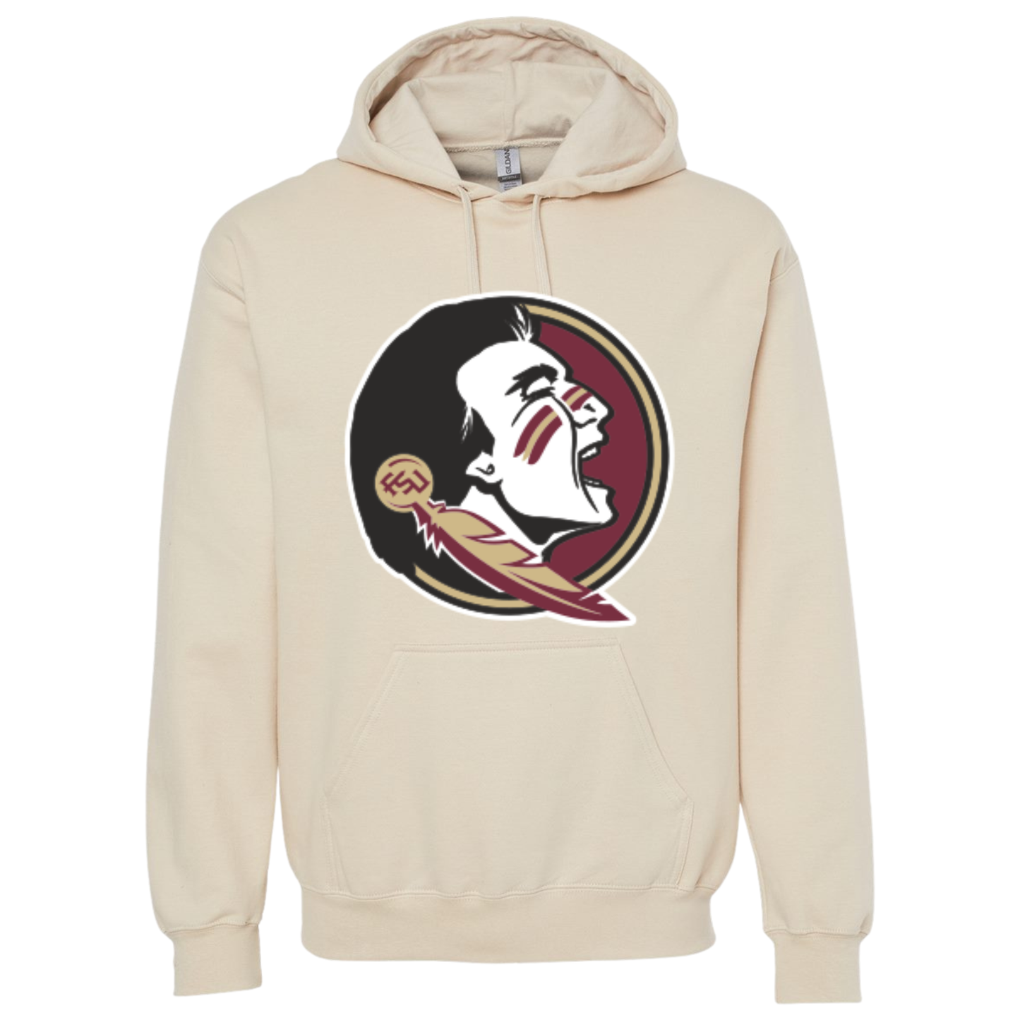 College Inspired Hoodie FSU