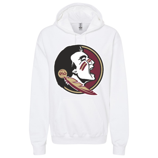 College Inspired Hoodie FSU